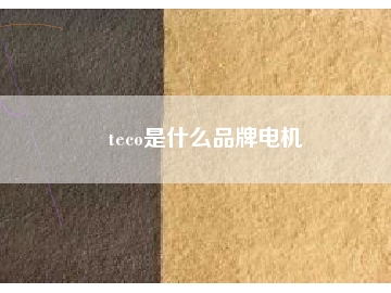 teco是什么品牌电机