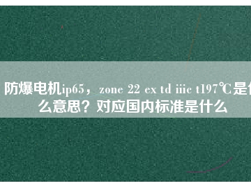 防爆电机ip65，zone 22 ex td iiic t197℃是什么意思？对应国内标准是什么