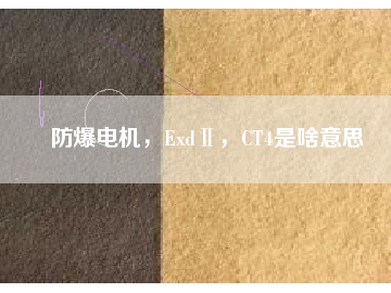 防爆电机，ExdⅡ，CT4是啥意思