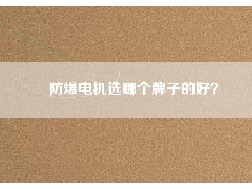 防爆电机选哪个牌子的好？