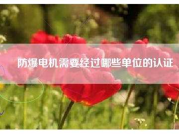 防爆电机需要经过哪些单位的认证
