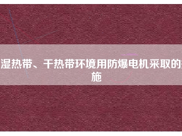湿热带、干热带环境用防爆电机采取的措施