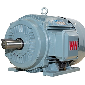 TYCP2系列三相变频驱动永磁同步电动机