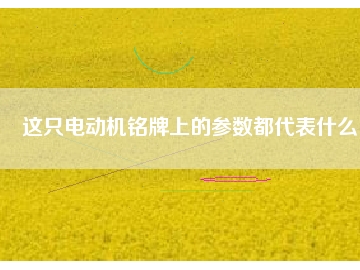 这只电动机铭牌上的参数都代表什么