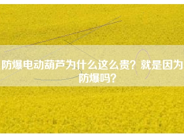 防爆电动葫芦为什么这么贵？就是因为能防爆吗？