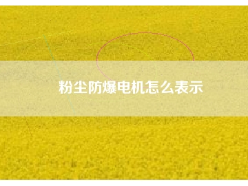 粉尘防爆电机怎么表示